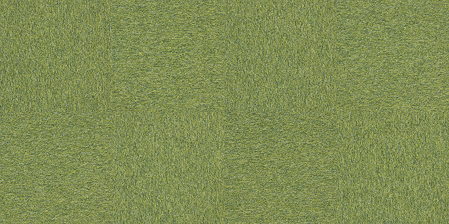 4197015 Kiwi