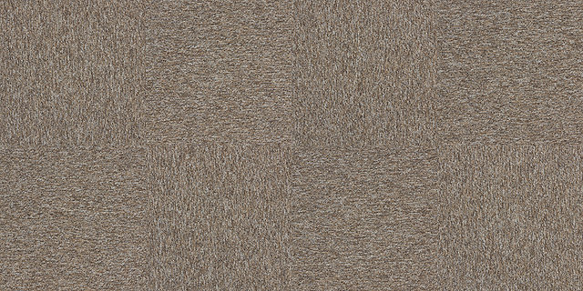 4197007 Nutmeg