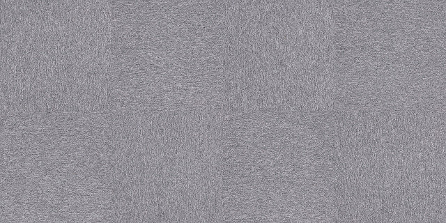4197028 Ash