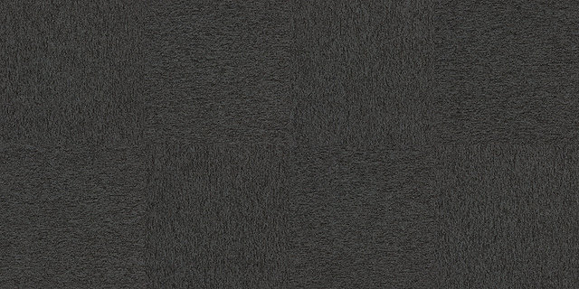 4197006 Shale